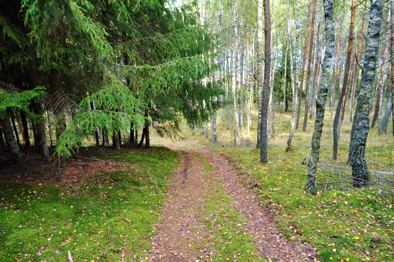 Holiday home Lesne Zacisze Letniskowe *