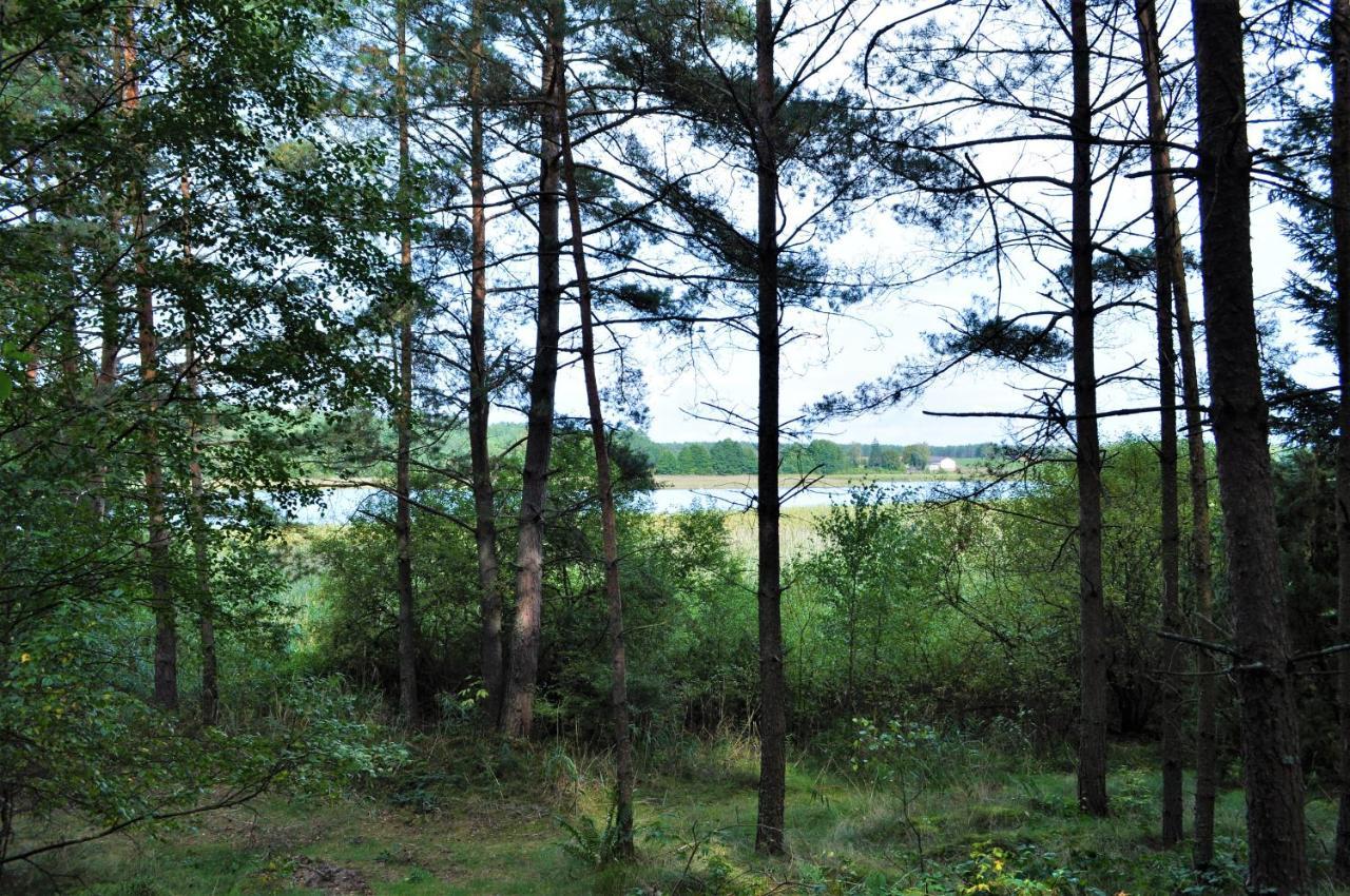 Holiday home Lesne Zacisze Letniskowe *