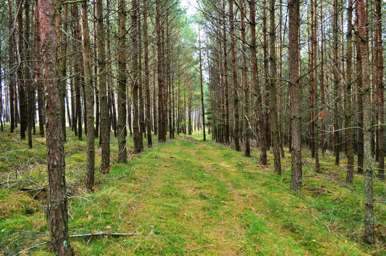 Lesne Zacisze Letniskowe Lipnica (Bytow)