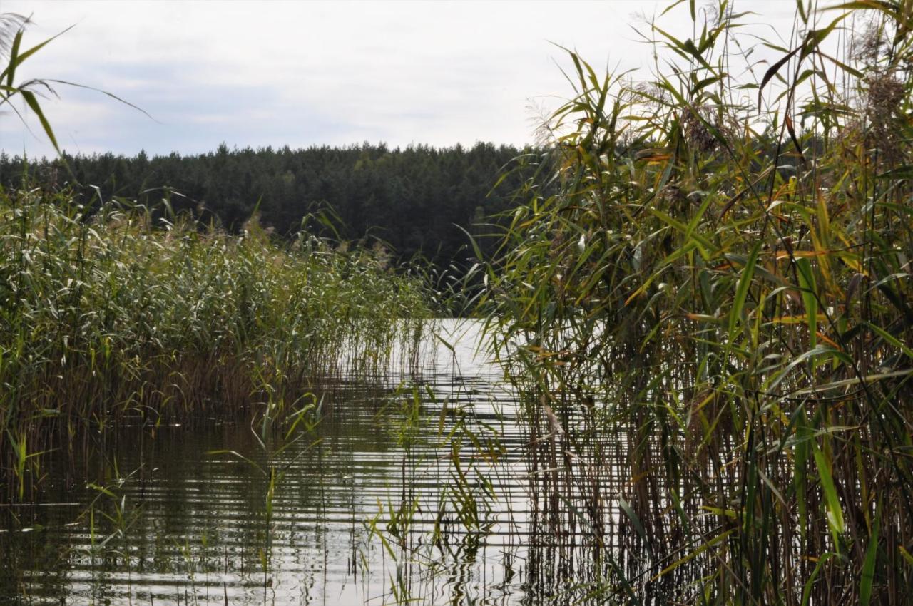 Lesne Zacisze Letniskowe