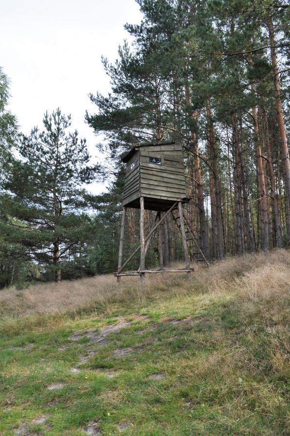 Holiday home Lesne Zacisze Letniskowe