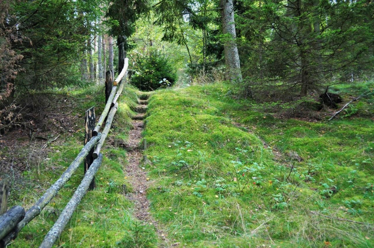 Ferienhaus Lesne Zacisze Letniskowe