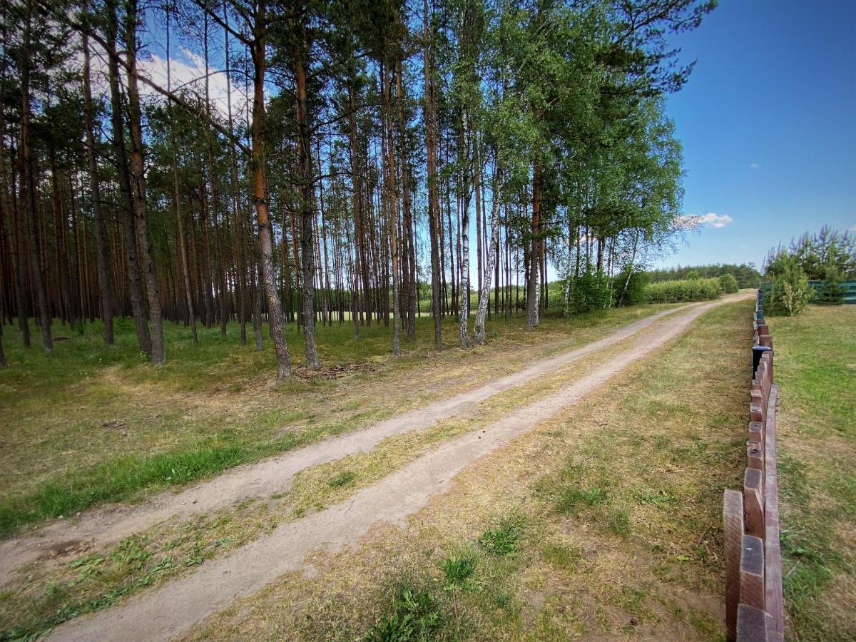 Lesne Zacisze Letniskowe *